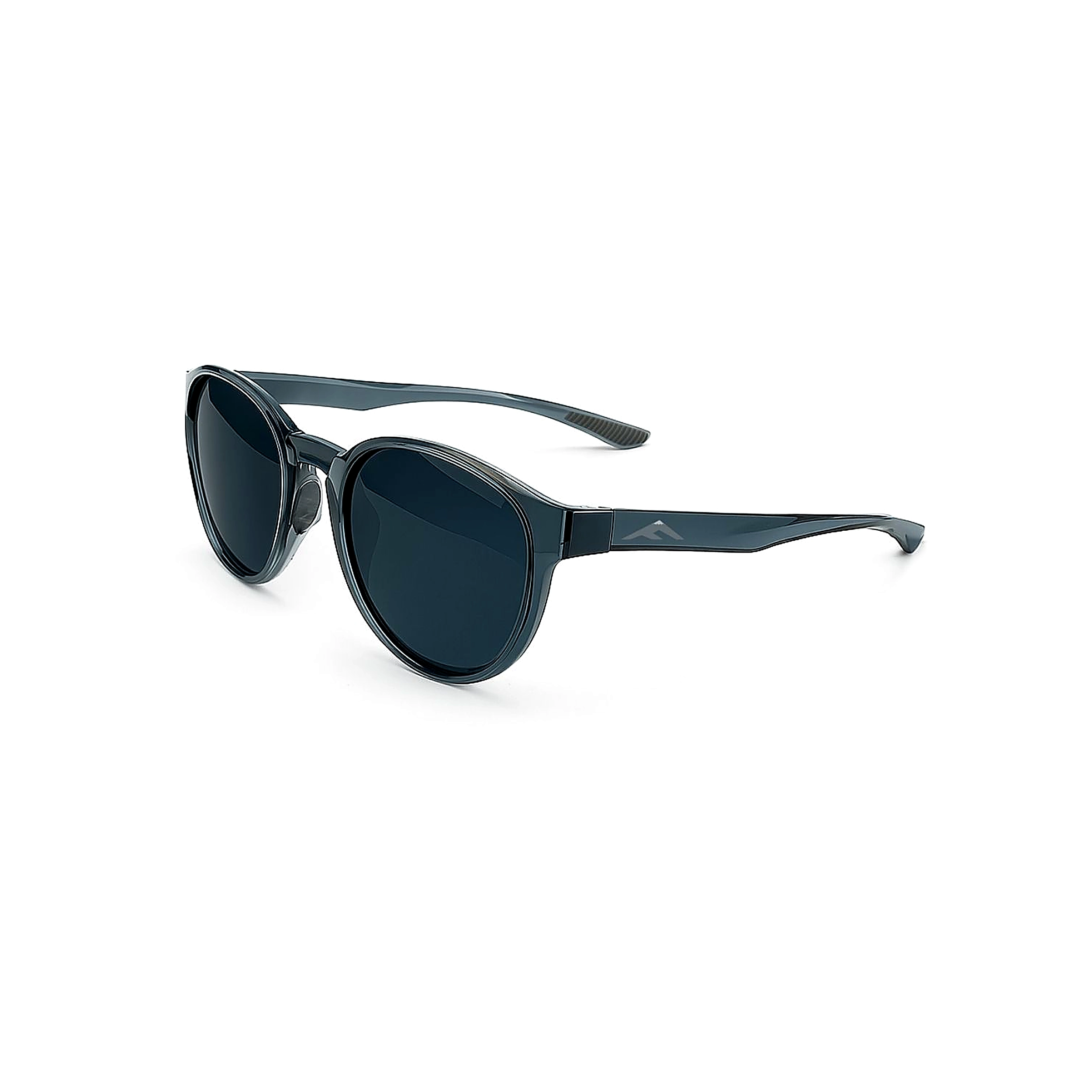 NOMAD - Polarized Gri
